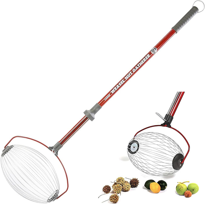 Garden Weasel Nut Gatherer - Large Cage | Pick Up Walnuts, Small Apples, Citrus Fruits, Tennis Balls | Nut Collector and Picker Upper Roller with Cage Spreader