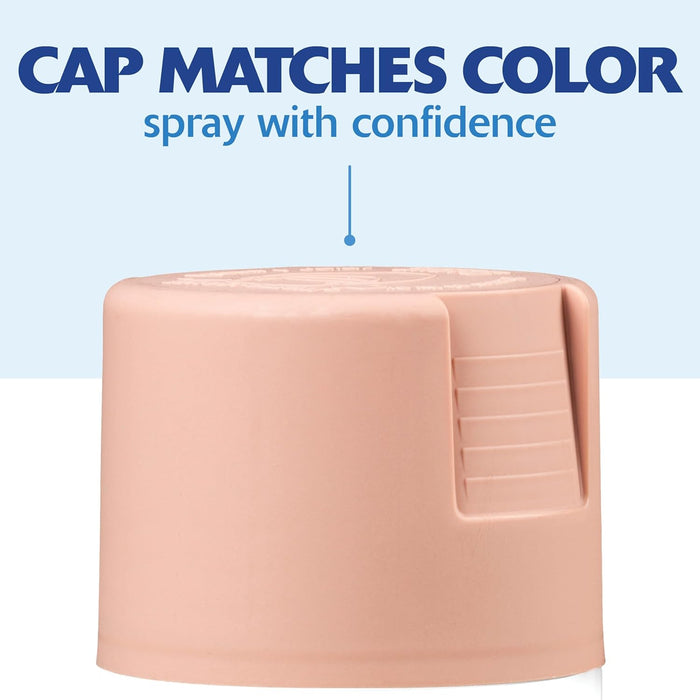 Rust-Oleum 355035 Painter's Touch 2X Ultra Cover Spray Paint, 12 oz, Ultra Matte Rustic Pink (Pack of 6)