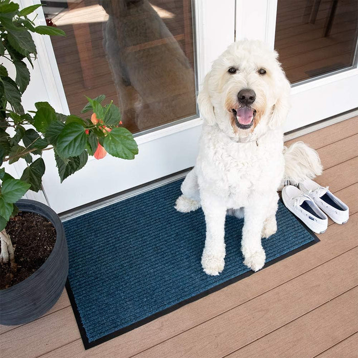 Notrax 109 Brush Step Carpeted Indoor/Outdoor Entrance Mat for Home or Office, 4' X 8', Absorbent Slip Resistant Heavy Duty Entry Mat, Slate Blue, 109S0048BU