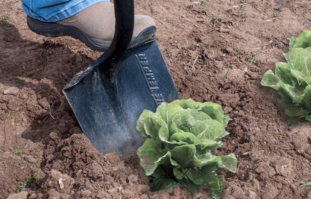 The Ames Companies, Inc 2585600 True Temper Forged Round Point Digging Shovel 57 in. Hardwood Handle Round Point Shovel