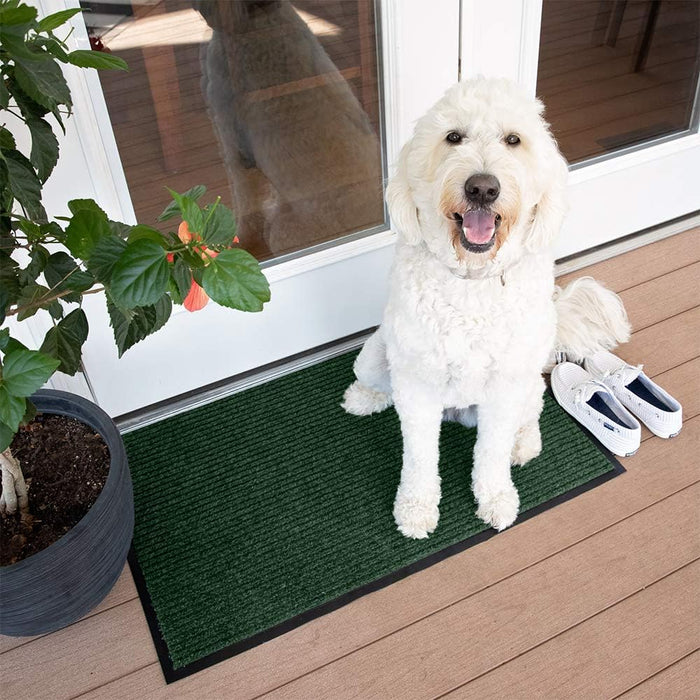 Notrax 109 Brush Step Carpeted Indoor/Outdoor Entrance Mat for Home or Office, 3' X 4', Absorbent Slip Resistant Heavy Duty Entry Mat, Hunter Green, 109S0034GN