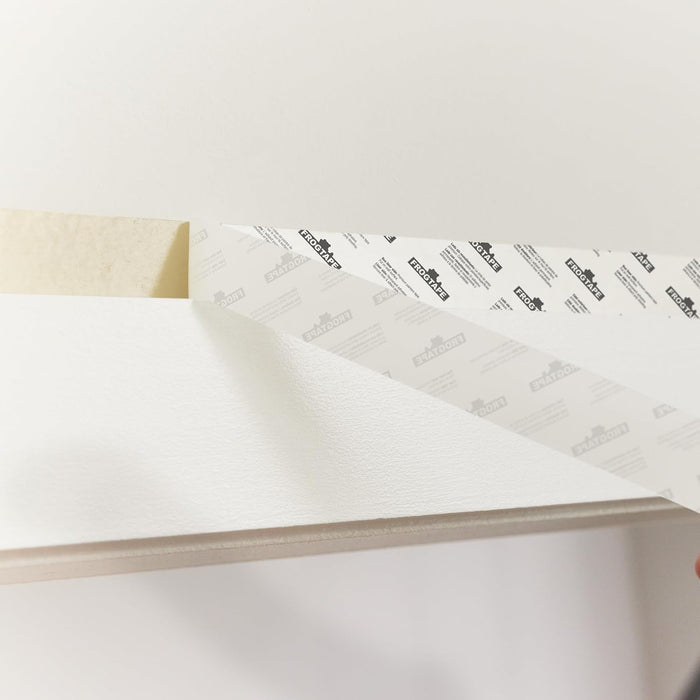 FrogTape DS 154 Premium Grade, Double-Sided Poly-Hanging Containment Tape, Sticks to Plastic Sheets, for Remodeling and Remediation, 48mm x 25yds, Natural, 1 Roll (105777)