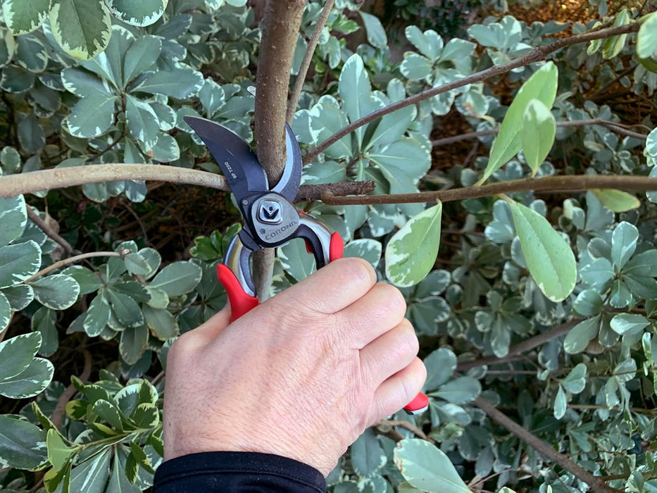 Corona BP7200 Forged Pro Cut Bypass Hand Pruner, 1-Inch, Red