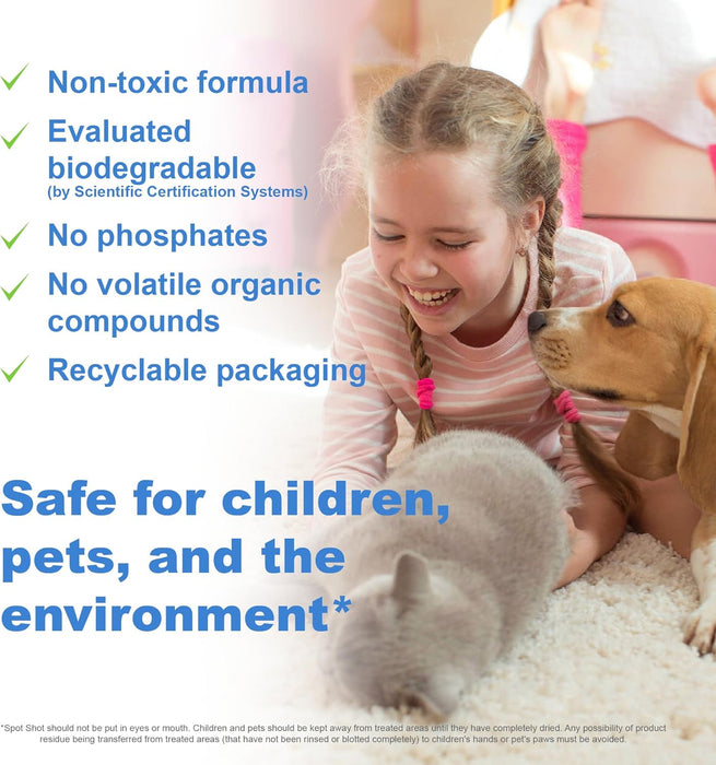 Spot Shot Instant Carpet Stain Remover Aerosol 14 oz can (Pack of 2)