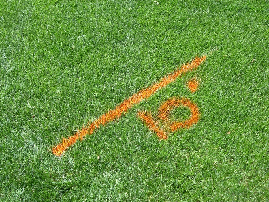 Rust-Oleum 203030 M1600/M1800 System Industrial Choice Precision Line Inverted Marking Paint, 17 Ounce, White (Pack of 12)