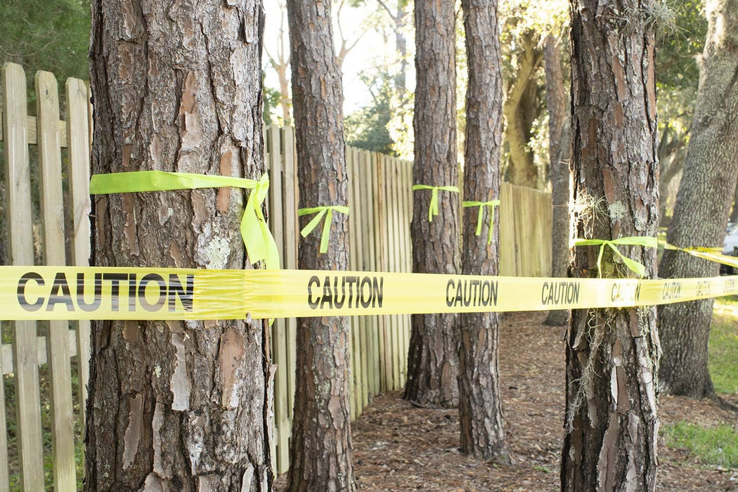 IPG 600WP 300 Barricade Ribbon, WET PAINT, 3" x 300 ft, Yellow/Black (Single Roll)