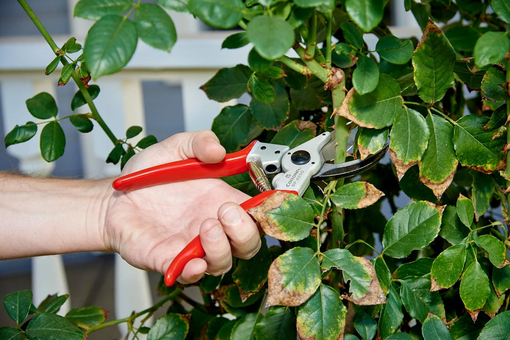 Corona BP4250 Forged Steel Aluminum Handles Bypass Hand Pruner - 1 inch Cut Capacity Stem and Branch Garden Shears, Red