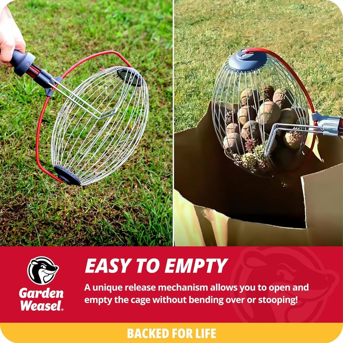 Garden Weasel Nut Gatherer - Large Cage | Pick Up Walnuts, Small Apples, Citrus Fruits, Tennis Balls | Nut Collector and Picker Upper Roller with Cage Spreader