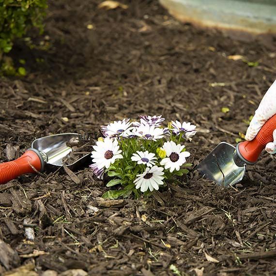 Garden Weasel 3-Piece Hand Tool Combo Set | Trowel, Transplanter and Cultivator | Heavy Duty Lawn and Garden Set, Digging, Planting, and Weeding