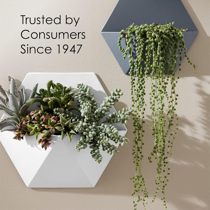 Krylon K05505007 COLORmaxx Spray Paint and Primer for Indoor/Outdoor Use, Gloss Black, 12 Ounce (Pack of 1)