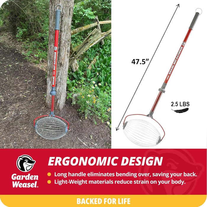 Garden Weasel Nut Gatherer - Large Cage | Pick Up Walnuts, Small Apples, Citrus Fruits, Tennis Balls | Nut Collector and Picker Upper Roller with Cage Spreader