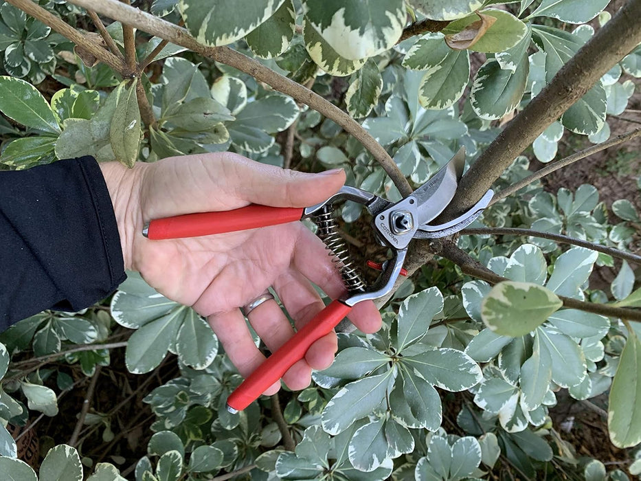 Corona BP15180 Forged Steel ClassicCUT Bypass Hand Pruner - 1 inch Cut Capacity Stem and Branch Garden Shears, Red
