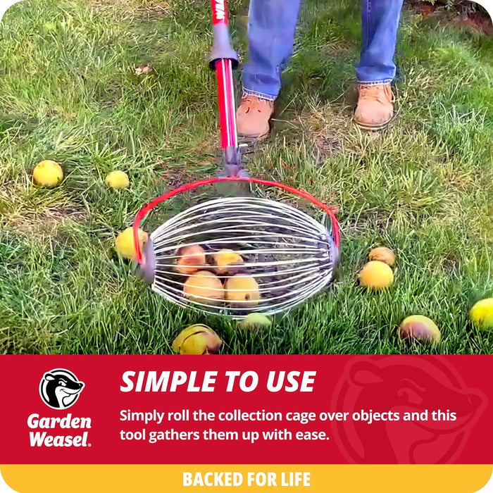 Garden Weasel Nut Gatherer - Large Cage | Pick Up Walnuts, Small Apples, Citrus Fruits, Tennis Balls | Nut Collector and Picker Upper Roller with Cage Spreader