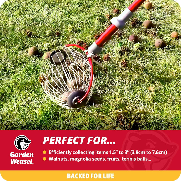 Garden Weasel Nut Gatherer - Large Cage | Pick Up Walnuts, Small Apples, Citrus Fruits, Tennis Balls | Nut Collector and Picker Upper Roller with Cage Spreader