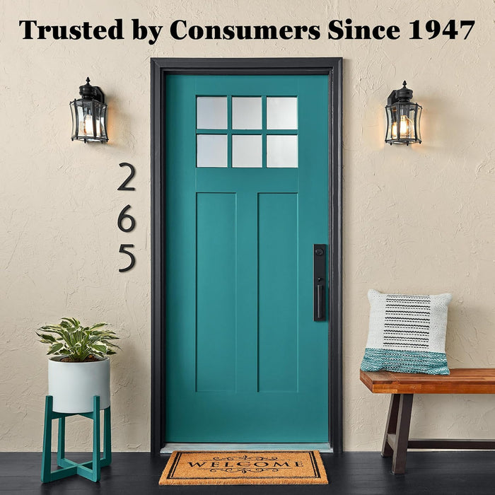 Krylon K01709077 High Heat Spray Paint, Brown, 12 Ounce (Pack of 1)