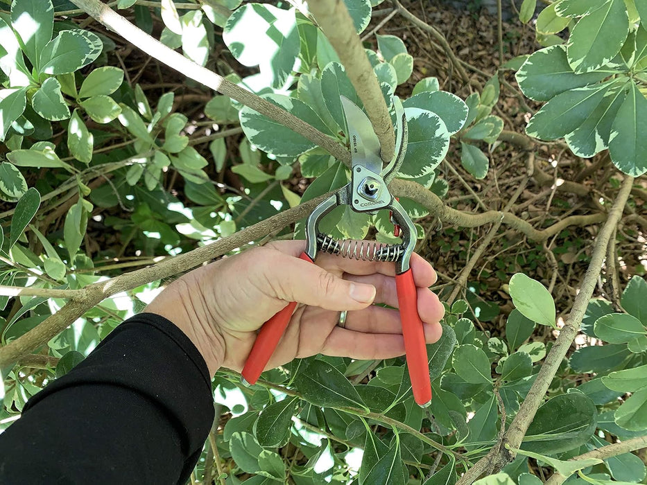 Corona BP15180 Forged Steel ClassicCUT Bypass Hand Pruner - 1 inch Cut Capacity Stem and Branch Garden Shears, Red
