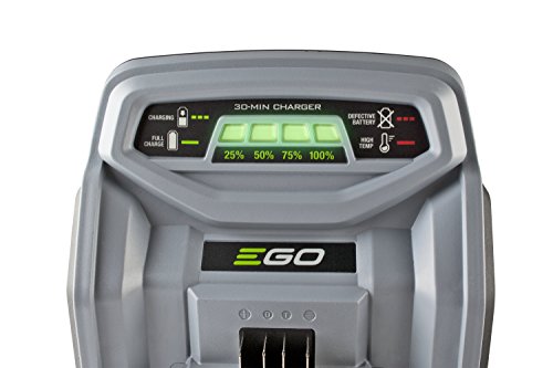 EGO Power+ Lithium-ion Standard Charger