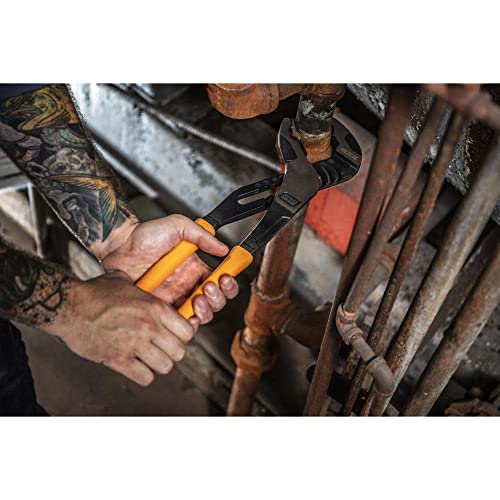 41wxJey0FAL.jpg?v=1700079858