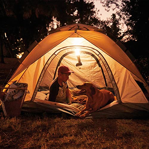 Makita 18V LXT Outdoor Adventure L.E.D. Lantern/Flashlight